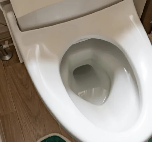 【トイレ】つまり、物を流した